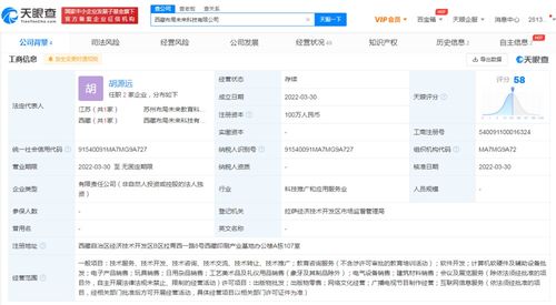 網絡文化經營 定義、挑戰與未來展望